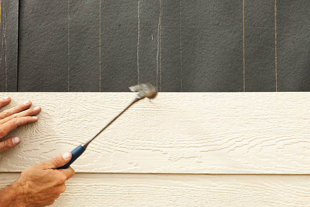 Best Siding Painting and Refinishing  in South Sumter, SC